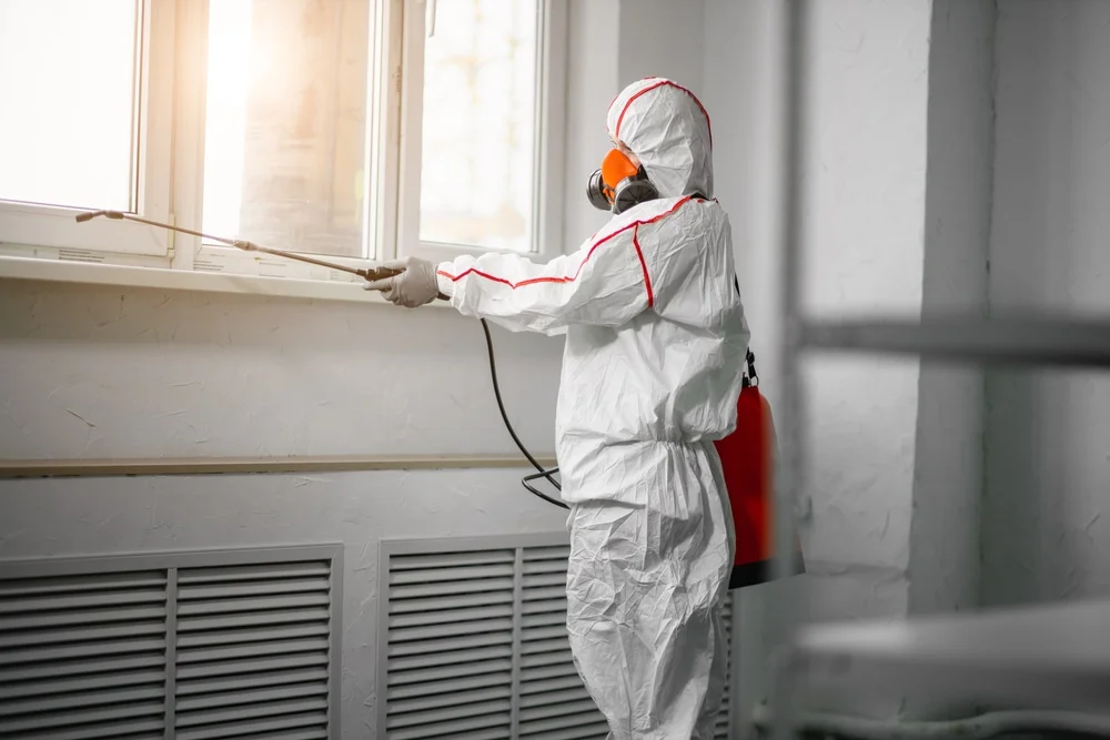 Professional mold remediation services in Millwood, VA